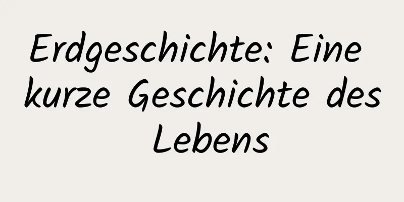 Erdgeschichte: Eine kurze Geschichte des Lebens