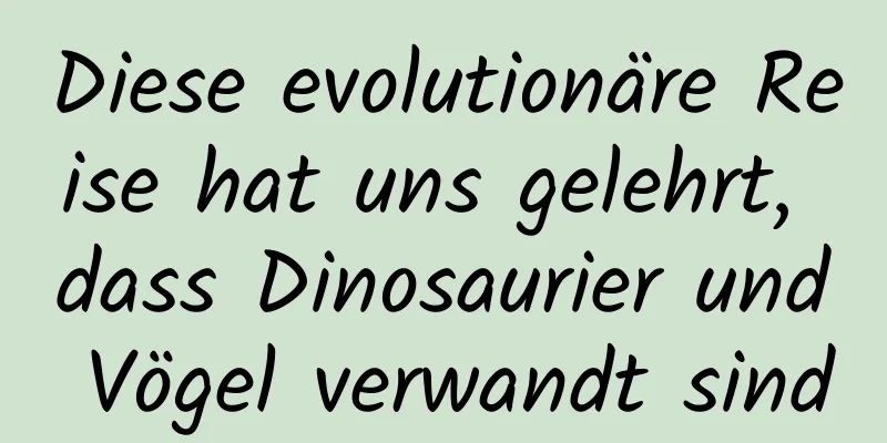 Diese evolutionäre Reise hat uns gelehrt, dass Dinosaurier und Vögel verwandt sind