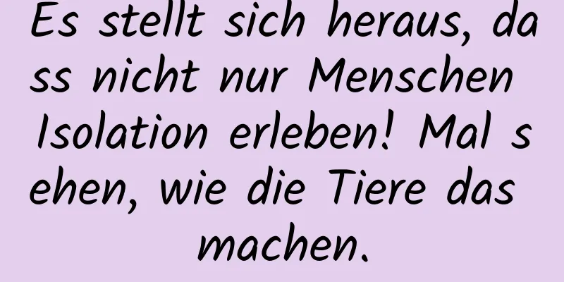 Es stellt sich heraus, dass nicht nur Menschen Isolation erleben! Mal sehen, wie die Tiere das machen.