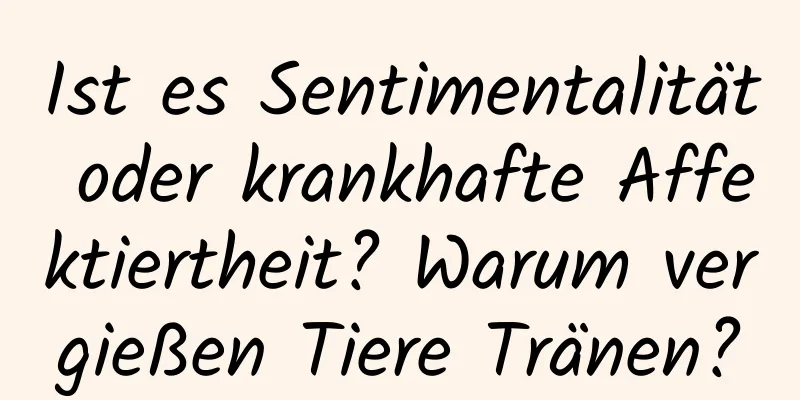 Ist es Sentimentalität oder krankhafte Affektiertheit? Warum vergießen Tiere Tränen?