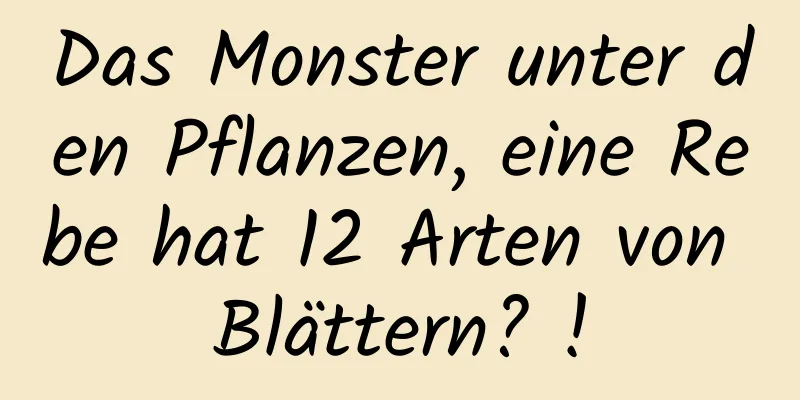 Das Monster unter den Pflanzen, eine Rebe hat 12 Arten von Blättern? !