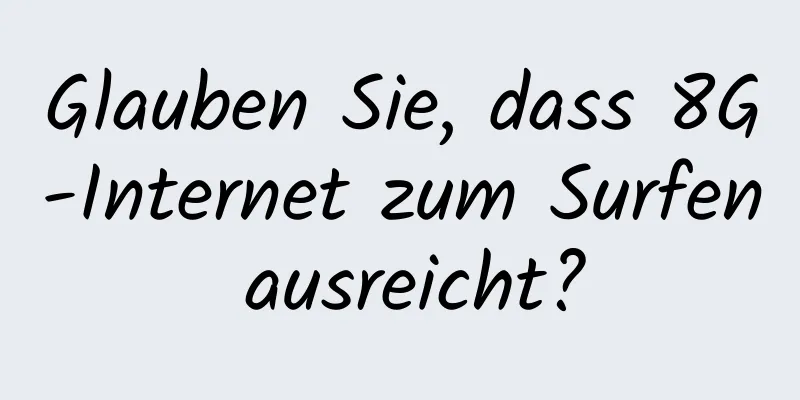 Glauben Sie, dass 8G-Internet zum Surfen ausreicht?