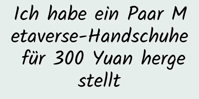 Ich habe ein Paar Metaverse-Handschuhe für 300 Yuan hergestellt