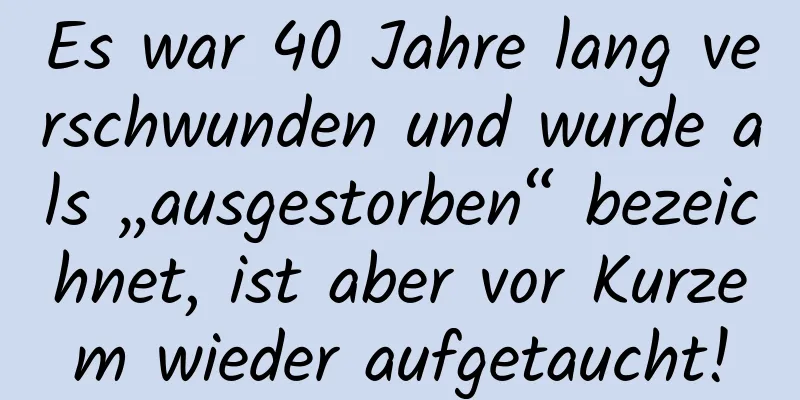 Es war 40 Jahre lang verschwunden und wurde als „ausgestorben“ bezeichnet, ist aber vor Kurzem wieder aufgetaucht!