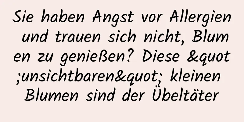 Sie haben Angst vor Allergien und trauen sich nicht, Blumen zu genießen? Diese "unsichtbaren" kleinen Blumen sind der Übeltäter