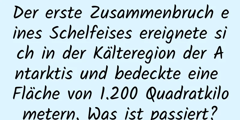 Der erste Zusammenbruch eines Schelfeises ereignete sich in der Kälteregion der Antarktis und bedeckte eine Fläche von 1.200 Quadratkilometern. Was ist passiert?