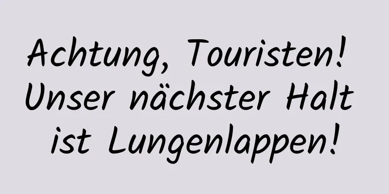 Achtung, Touristen! Unser nächster Halt ist Lungenlappen!