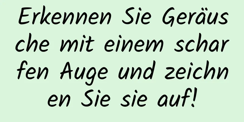 Erkennen Sie Geräusche mit einem scharfen Auge und zeichnen Sie sie auf!