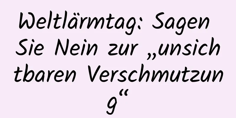 Weltlärmtag: Sagen Sie Nein zur „unsichtbaren Verschmutzung“