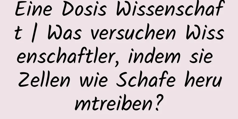 Eine Dosis Wissenschaft | Was versuchen Wissenschaftler, indem sie Zellen wie Schafe herumtreiben?