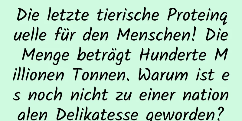 Die letzte tierische Proteinquelle für den Menschen! Die Menge beträgt Hunderte Millionen Tonnen. Warum ist es noch nicht zu einer nationalen Delikatesse geworden?