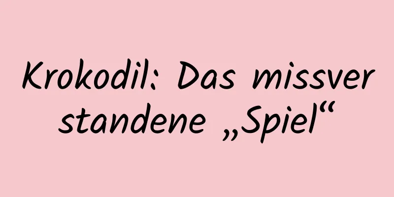 Krokodil: Das missverstandene „Spiel“