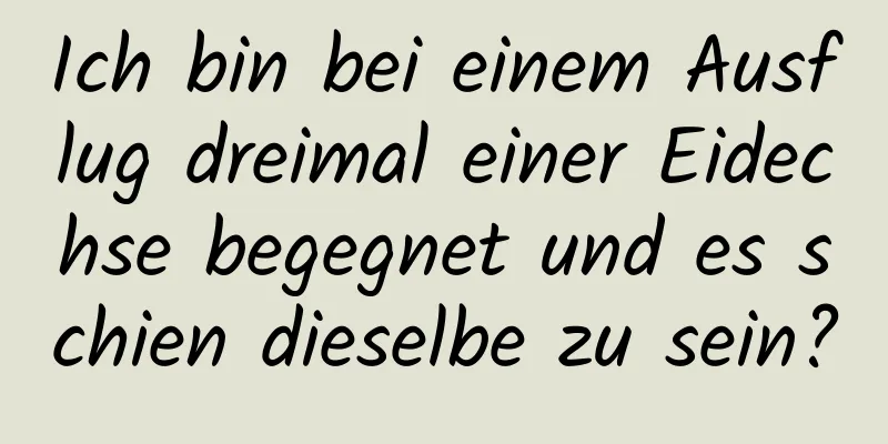 Ich bin bei einem Ausflug dreimal einer Eidechse begegnet und es schien dieselbe zu sein?