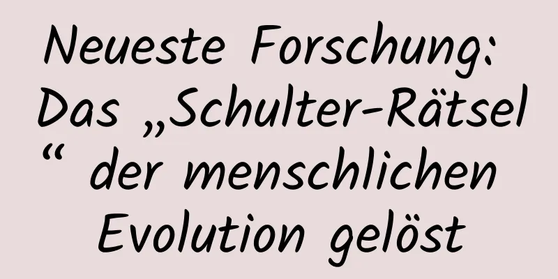 Neueste Forschung: Das „Schulter-Rätsel“ der menschlichen Evolution gelöst