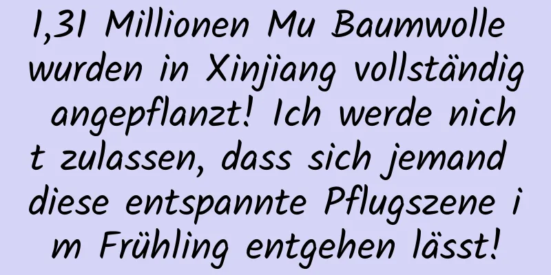 1,31 Millionen Mu Baumwolle wurden in Xinjiang vollständig angepflanzt! Ich werde nicht zulassen, dass sich jemand diese entspannte Pflugszene im Frühling entgehen lässt!