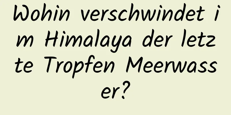 Wohin verschwindet im Himalaya der letzte Tropfen Meerwasser?
