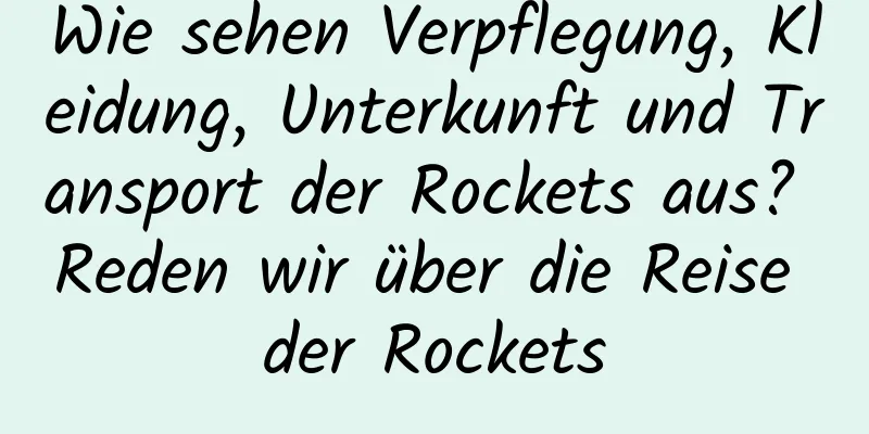 Wie sehen Verpflegung, Kleidung, Unterkunft und Transport der Rockets aus? Reden wir über die Reise der Rockets