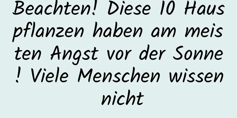 Beachten! Diese 10 Hauspflanzen haben am meisten Angst vor der Sonne! Viele Menschen wissen nicht