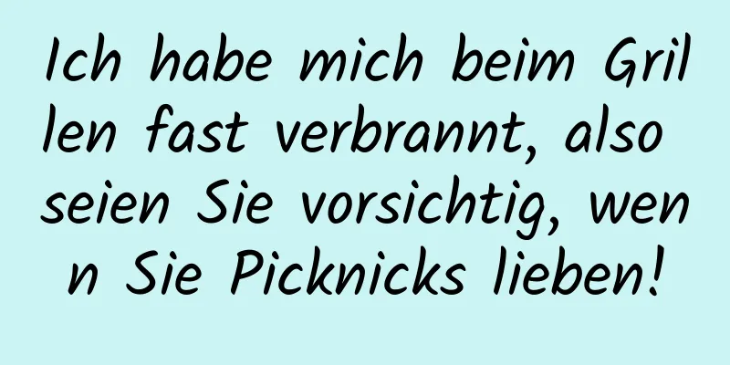 Ich habe mich beim Grillen fast verbrannt, also seien Sie vorsichtig, wenn Sie Picknicks lieben!