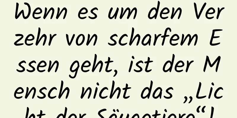 Wenn es um den Verzehr von scharfem Essen geht, ist der Mensch nicht das „Licht der Säugetiere“!