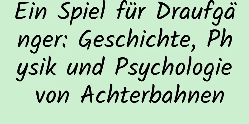 Ein Spiel für Draufgänger: Geschichte, Physik und Psychologie von Achterbahnen