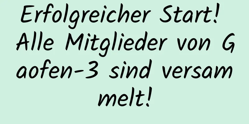 Erfolgreicher Start! Alle Mitglieder von Gaofen-3 sind versammelt!