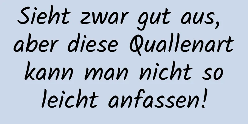 Sieht zwar gut aus, aber diese Quallenart kann man nicht so leicht anfassen!