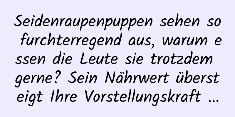 Seidenraupenpuppen sehen so furchterregend aus, warum essen die Leute sie trotzdem gerne? Sein Nährwert übersteigt Ihre Vorstellungskraft …