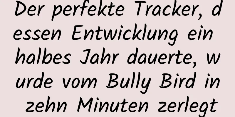 Der perfekte Tracker, dessen Entwicklung ein halbes Jahr dauerte, wurde vom Bully Bird in zehn Minuten zerlegt