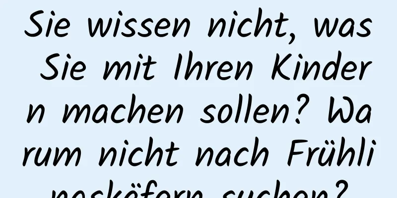 Sie wissen nicht, was Sie mit Ihren Kindern machen sollen? Warum nicht nach Frühlingskäfern suchen?