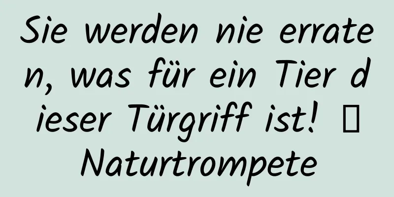 Sie werden nie erraten, was für ein Tier dieser Türgriff ist! ｜Naturtrompete