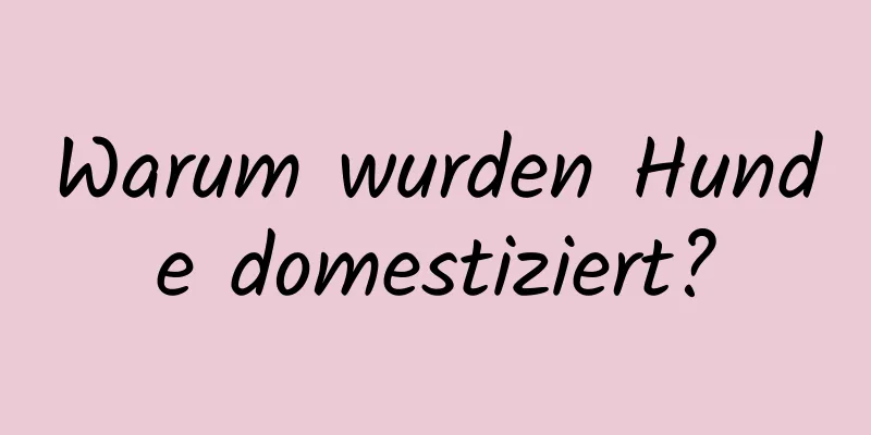 Warum wurden Hunde domestiziert?