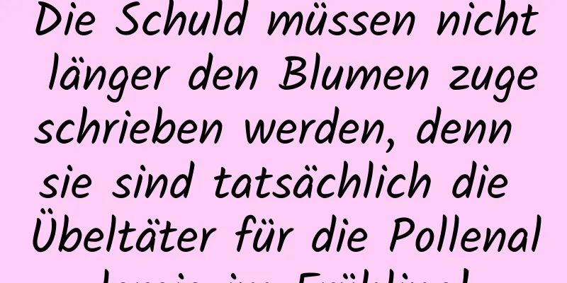 Die Schuld müssen nicht länger den Blumen zugeschrieben werden, denn sie sind tatsächlich die Übeltäter für die Pollenallergie im Frühling!