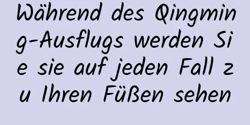Während des Qingming-Ausflugs werden Sie sie auf jeden Fall zu Ihren Füßen sehen