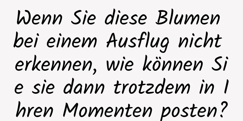 Wenn Sie diese Blumen bei einem Ausflug nicht erkennen, wie können Sie sie dann trotzdem in Ihren Momenten posten?