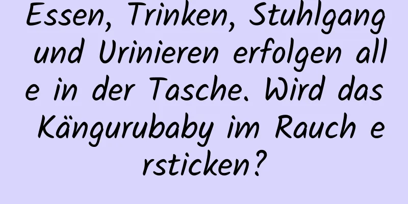Essen, Trinken, Stuhlgang und Urinieren erfolgen alle in der Tasche. Wird das Kängurubaby im Rauch ersticken?