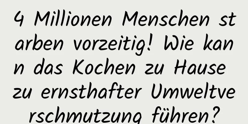 4 Millionen Menschen starben vorzeitig! Wie kann das Kochen zu Hause zu ernsthafter Umweltverschmutzung führen?