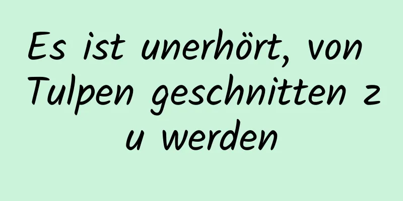Es ist unerhört, von Tulpen geschnitten zu werden