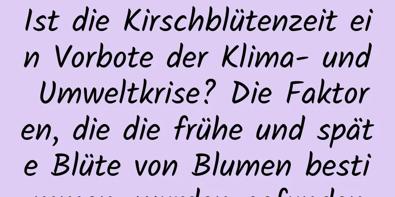 Ist die Kirschblütenzeit ein Vorbote der Klima- und Umweltkrise? Die Faktoren, die die frühe und späte Blüte von Blumen bestimmen, wurden gefunden