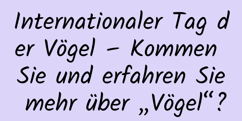 Internationaler Tag der Vögel – Kommen Sie und erfahren Sie mehr über „Vögel“?