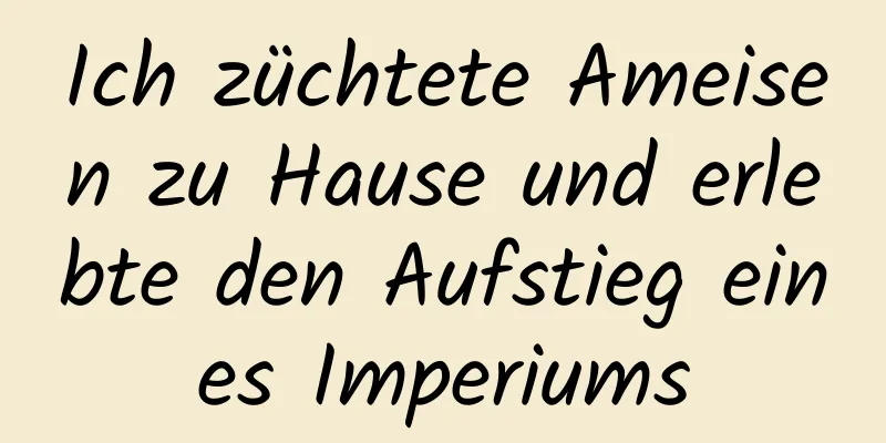 Ich züchtete Ameisen zu Hause und erlebte den Aufstieg eines Imperiums