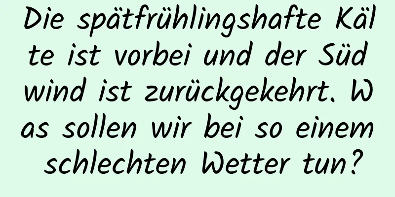 Die spätfrühlingshafte Kälte ist vorbei und der Südwind ist zurückgekehrt. Was sollen wir bei so einem schlechten Wetter tun?