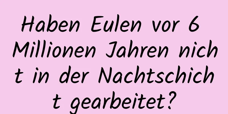 Haben Eulen vor 6 Millionen Jahren nicht in der Nachtschicht gearbeitet?
