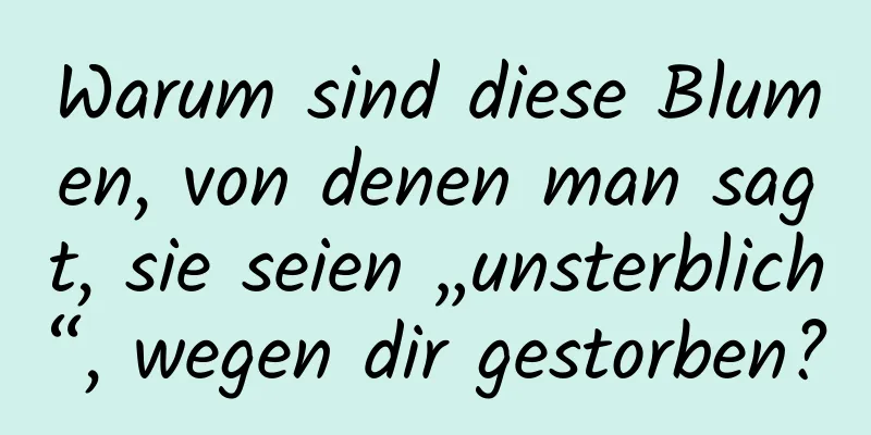 Warum sind diese Blumen, von denen man sagt, sie seien „unsterblich“, wegen dir gestorben?