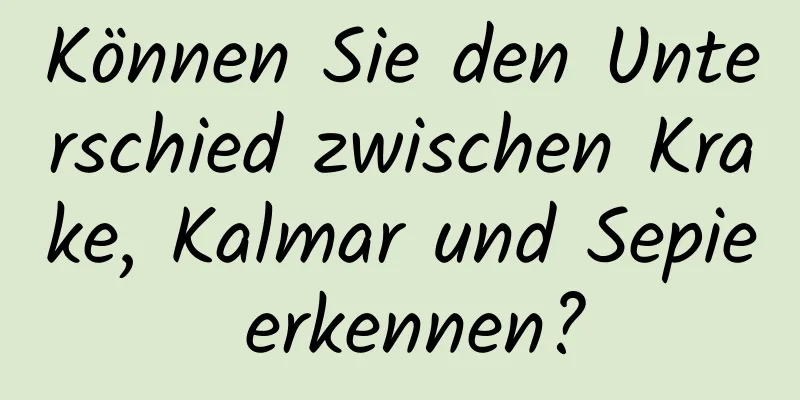 Können Sie den Unterschied zwischen Krake, Kalmar und Sepie erkennen?