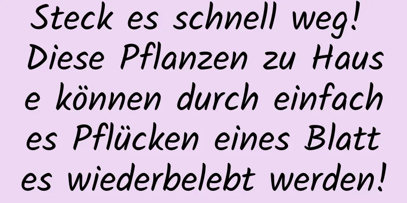 Steck es schnell weg! Diese Pflanzen zu Hause können durch einfaches Pflücken eines Blattes wiederbelebt werden!