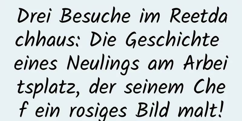 Drei Besuche im Reetdachhaus: Die Geschichte eines Neulings am Arbeitsplatz, der seinem Chef ein rosiges Bild malt!