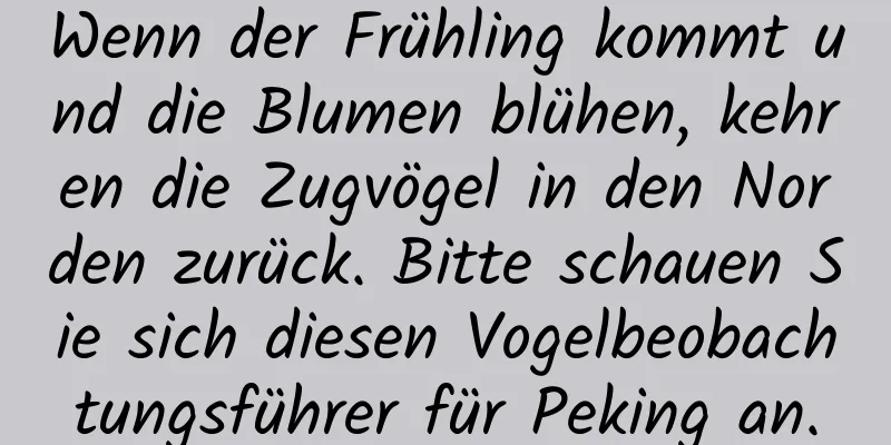 Wenn der Frühling kommt und die Blumen blühen, kehren die Zugvögel in den Norden zurück. Bitte schauen Sie sich diesen Vogelbeobachtungsführer für Peking an.