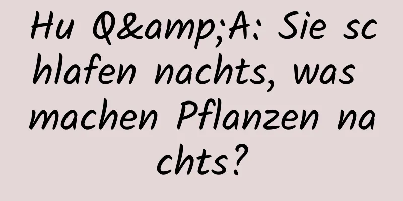 Hu Q&A: Sie schlafen nachts, was machen Pflanzen nachts?