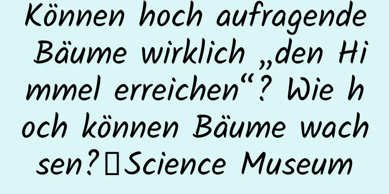 Können hoch aufragende Bäume wirklich „den Himmel erreichen“? Wie hoch können Bäume wachsen?丨Science Museum